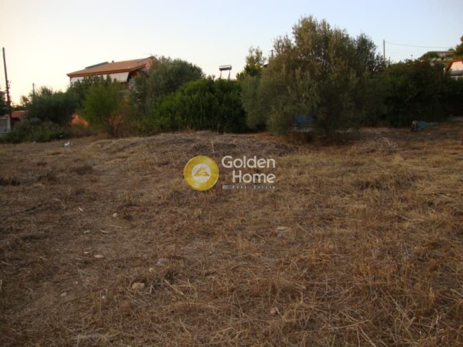 Οικόπεδο στην Αγία Παρασκευή, Παλλήνη — Φωτογραφία 2 από 11
