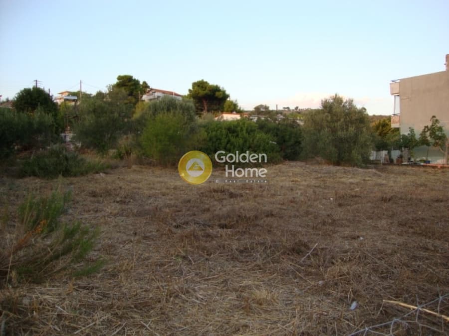 Οικόπεδο στην Αγία Παρασκευή, Παλλήνη — Φωτογραφία 4 από 11