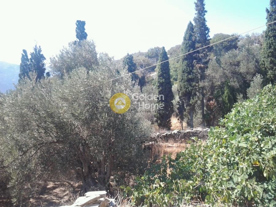 Building Plot in Palaiopoli, Andros — Photo 2 of 3
