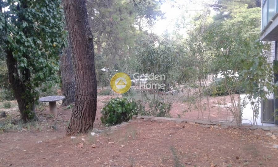 Building Plot in Adames Oikismos Peloponnision, Kifisia — Photo 8 of 16