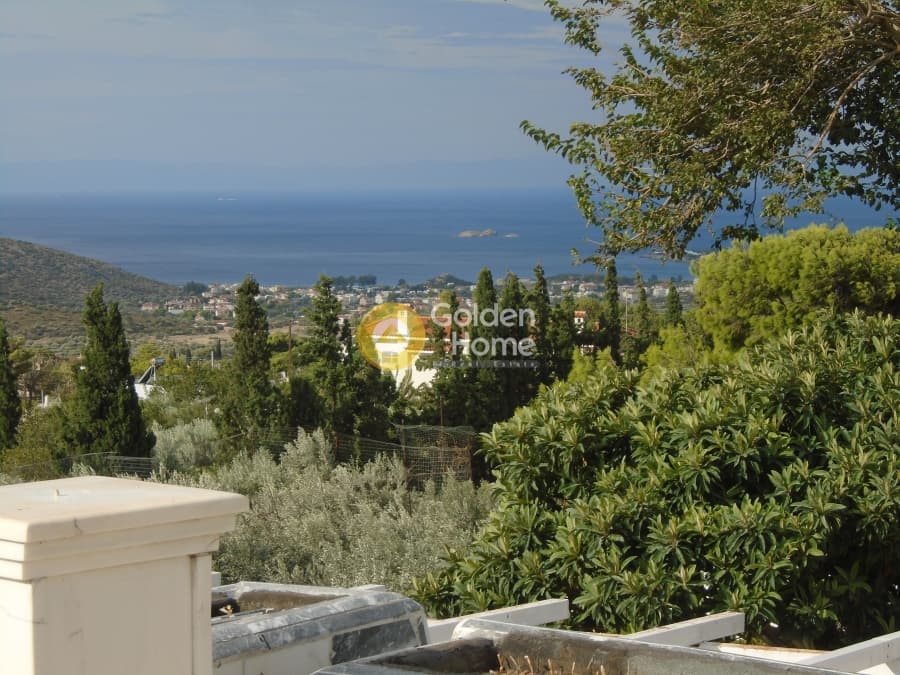 Μονοκατοικία στην Καλύβια, Καλύβια Θορικού — Φωτογραφία 21 από 24