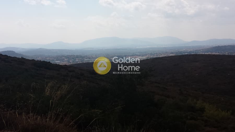 Building Plot in Dasamari, Pikermi — Photo 4 of 7