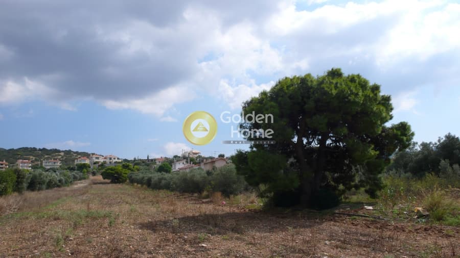 Building Plot in Elaionas, Anavissos — Photo 1 of 4