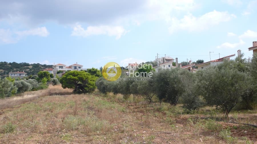 Building Plot in Elaionas, Anavissos — Photo 2 of 4