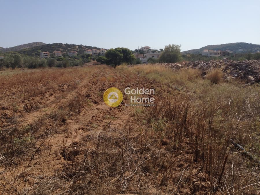 Building Plot in Elaionas, Anavissos — Photo 3 of 4