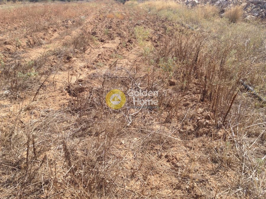 Building Plot in Elaionas, Anavissos — Photo 4 of 4