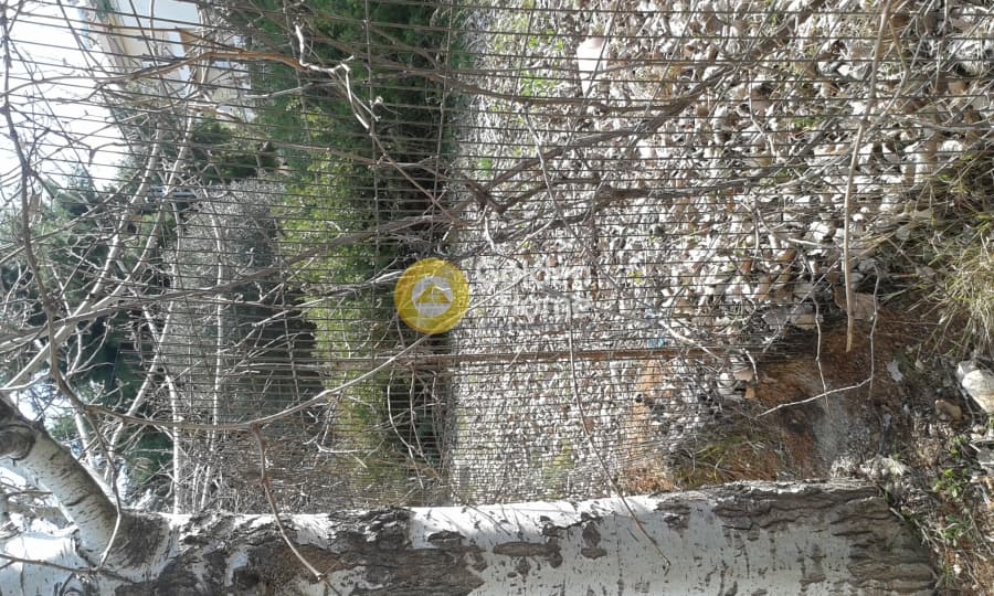 Οικόπεδο στην Πευκάκια, Αγία Παρασκευή — Φωτογραφία 2 από 10