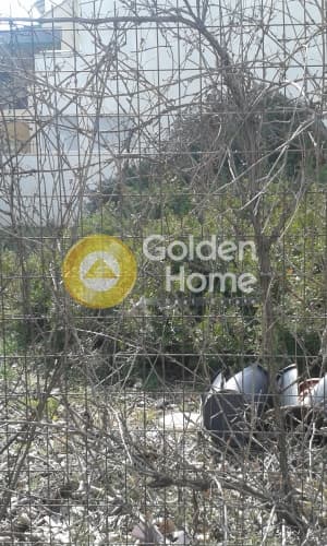 Οικόπεδο στην Πευκάκια, Αγία Παρασκευή — Φωτογραφία 5 από 10