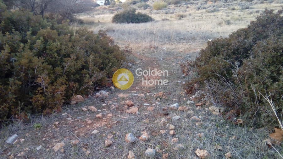 Building Plot in Kalivia, Kalivia Thorikou — Photo 1 of 2