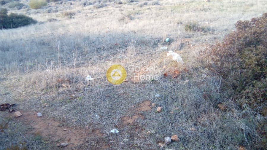 Building Plot in Kalivia, Kalivia Thorikou — Photo 2 of 2