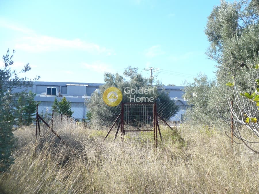 Οικόπεδο στην Αγία Μαρίνα, Παιανία — Φωτογραφία 1 από 4
