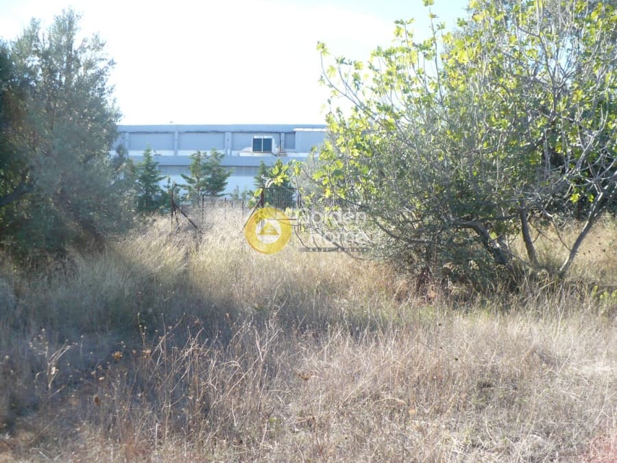 Οικόπεδο στην Αγία Μαρίνα, Παιανία — Φωτογραφία 3 από 4