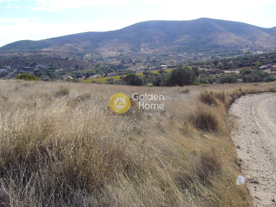 Parcel in Dipseliza, Keratea — Photo 11 of 11