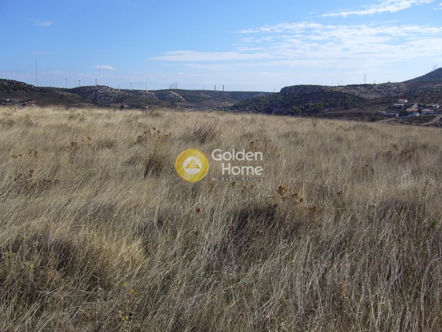 Parcel in Dipseliza, Keratea — Photo 10 of 11
