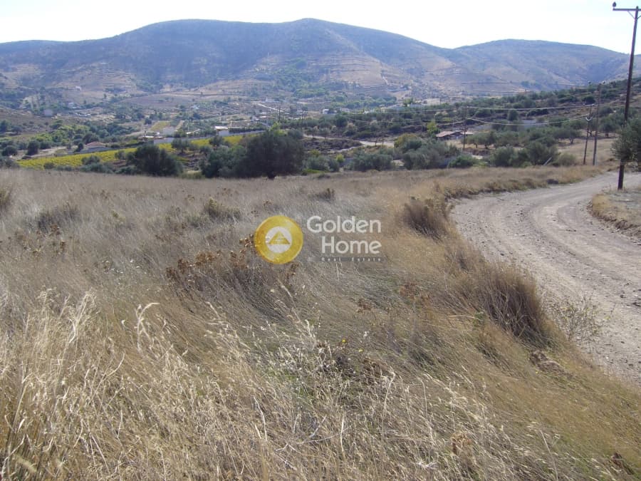 Parcel in Dipseliza, Keratea — Photo 7 of 11
