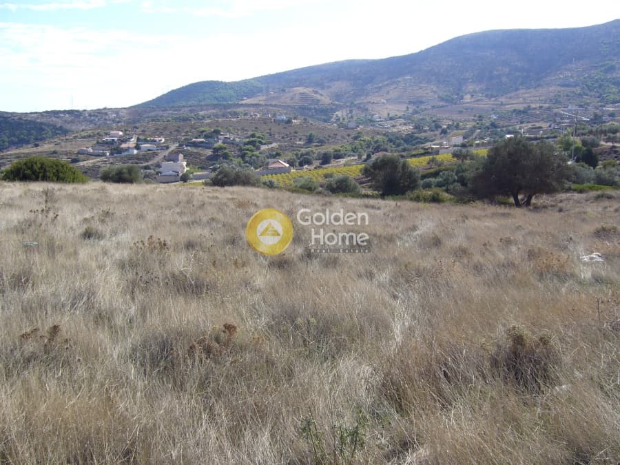 Parcel in Dipseliza, Keratea — Photo 8 of 11