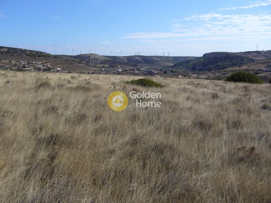 Parcel in Dipseliza, Keratea — Photo 5 of 11