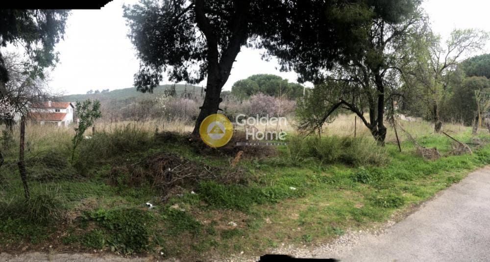 Αγροτεμάχιο στην Ροδόπολη, Ροδόπολη — Φωτογραφία 2 από 10