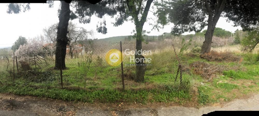 Αγροτεμάχιο στην Ροδόπολη, Ροδόπολη — Φωτογραφία 5 από 10