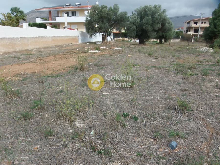 Parcel in Kalivia, Kalivia Thorikou — Photo 1 of 5