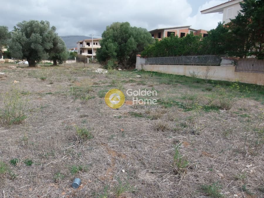 Parcel in Kalivia, Kalivia Thorikou — Photo 3 of 5
