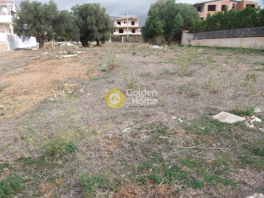 Parcel in Kalivia, Kalivia Thorikou — Photo 4 of 5