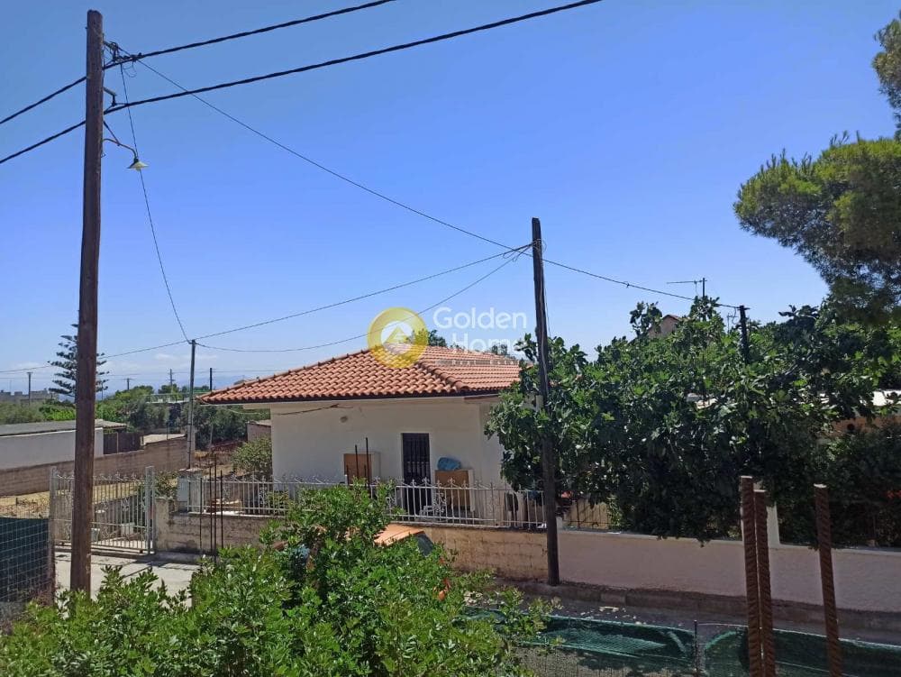 Μονοκατοικία στην Βορινέζα, Αρτέμιδα (Λούτσα) — Φωτογραφία 7 από 11