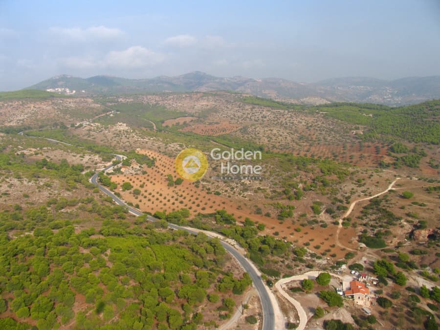 Parcel in Galazia akti, Kalivia Thorikou — Photo 4 of 6