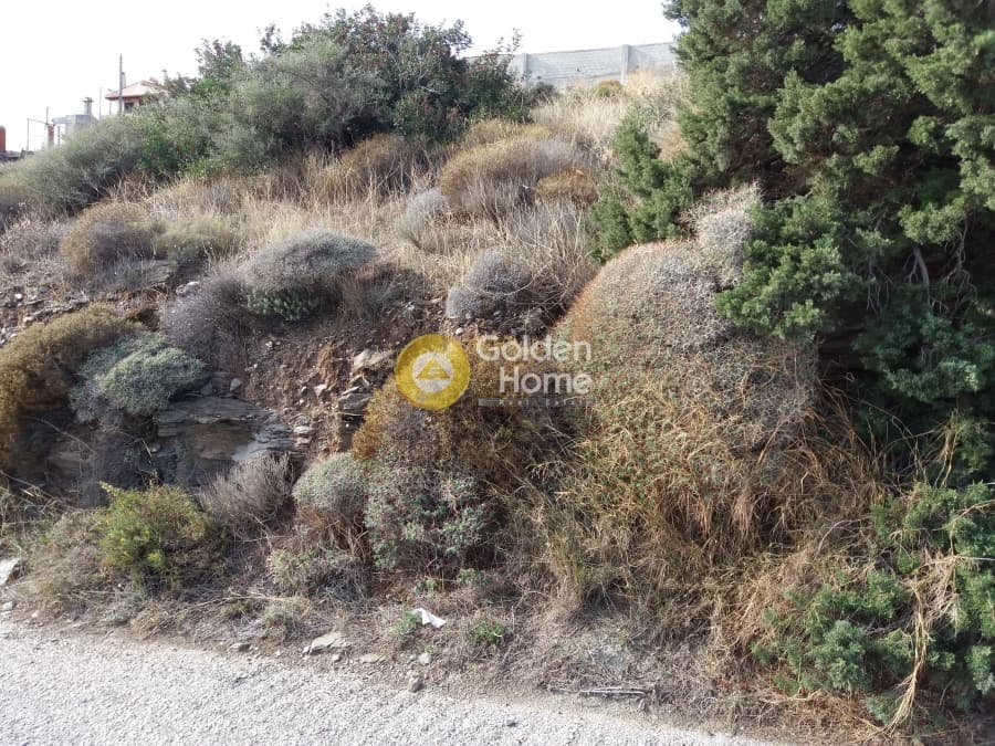 Αγροτεμάχιο στην Μικρολίμανο, Λαύριο — Φωτογραφία 5 από 7