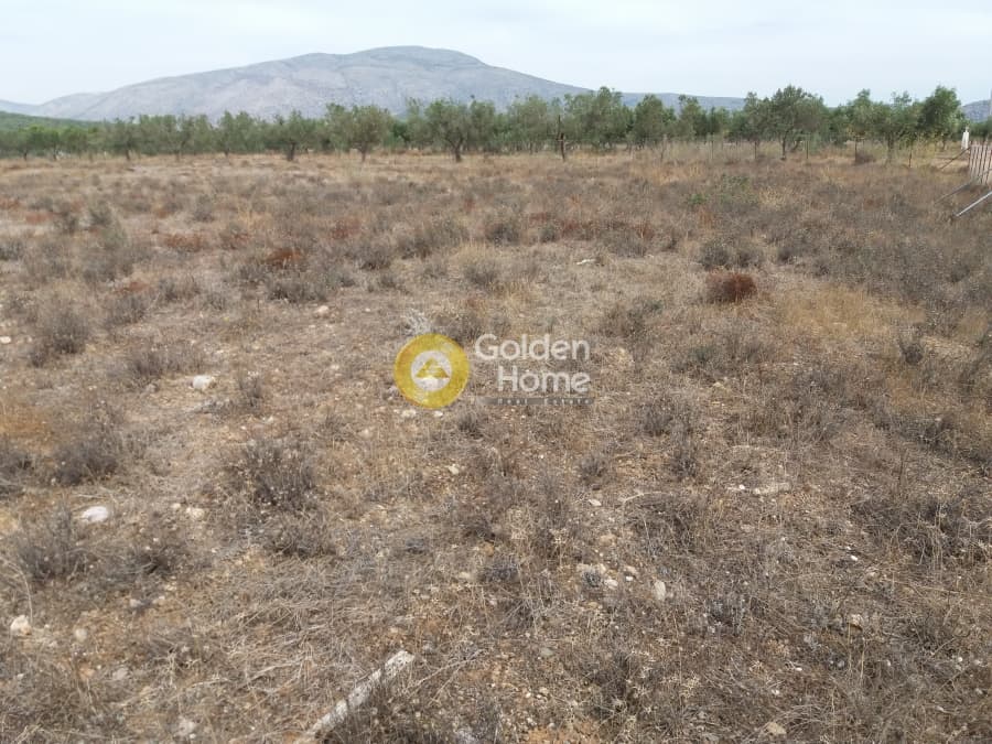 Building Plot in Ari, Anavissos — Photo 1 of 2