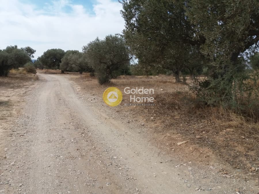 Building Plot in Ari, Anavissos — Photo 2 of 2