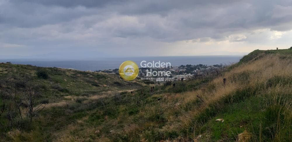 Building Plot in Agios Nikolaos, Rafina — Photo 1 of 3