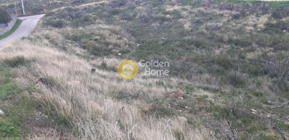 Building Plot in Agios Nikolaos, Rafina — Photo 2 of 3