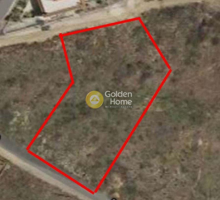 Building Plot in Agios Nikolaos, Rafina — Photo 3 of 3