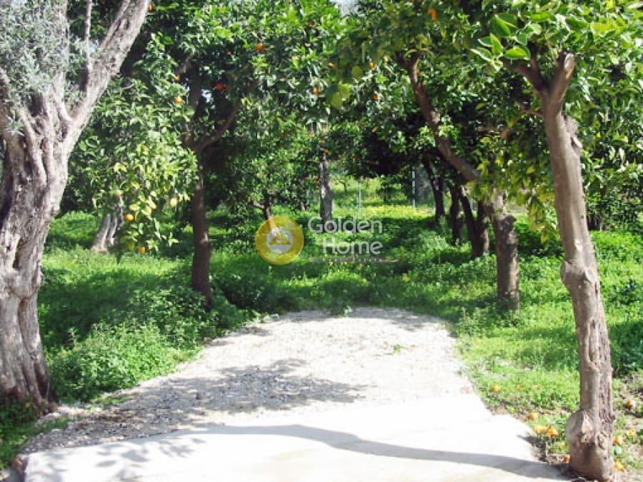 House in Center, Diakopto — Photo 17 of 20
