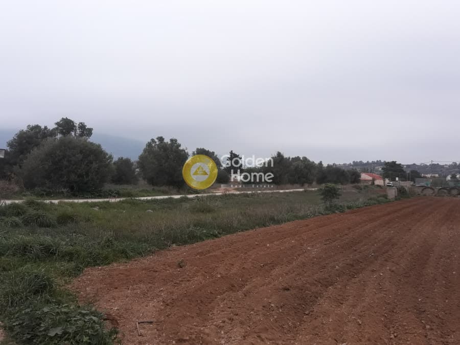 Parcel in Center, Koropi — Photo 1 of 2