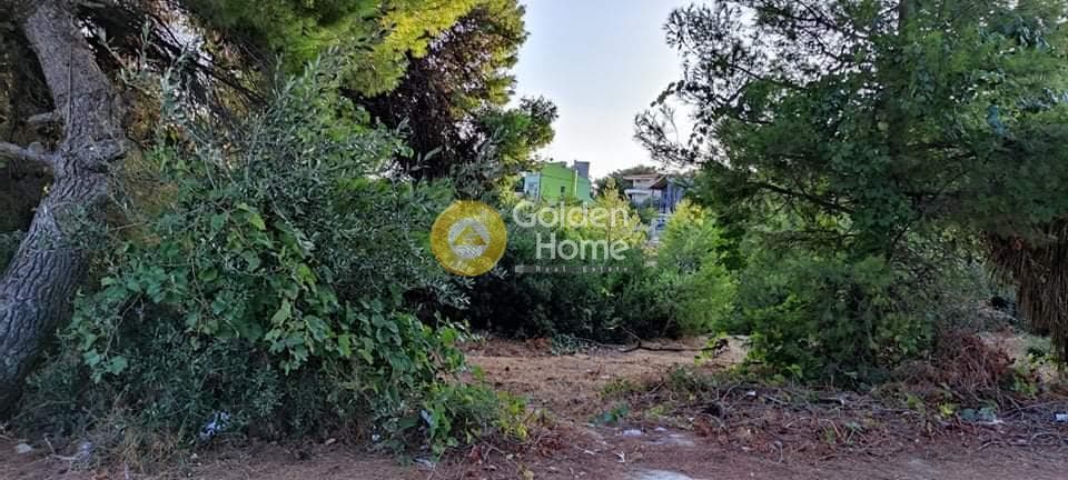 Building Plot in Agios Serafeim, Artemida (Loutsa) — Photo 2 of 2