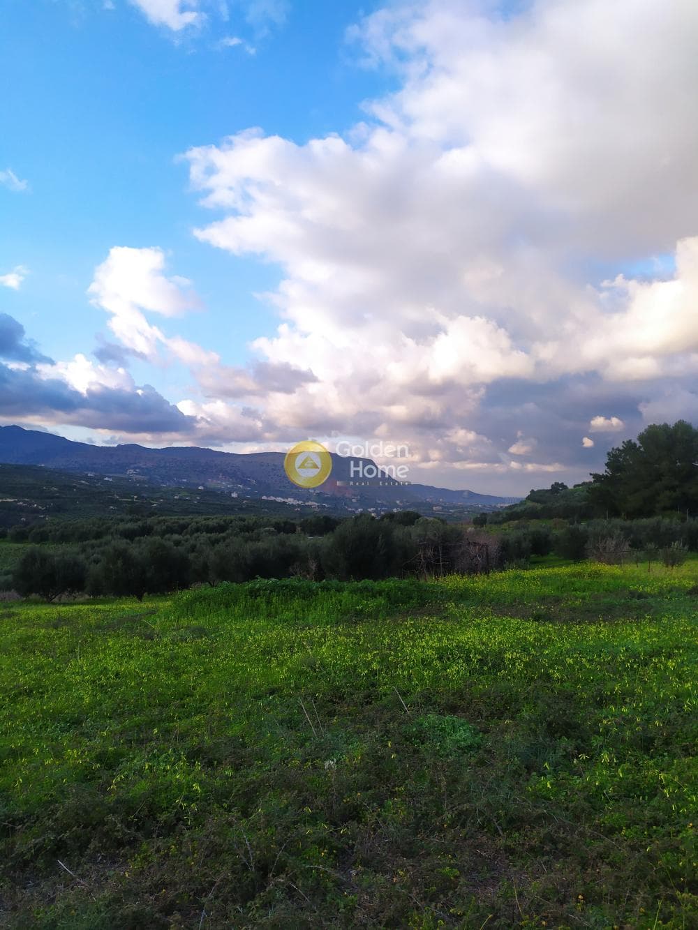 Parcel in Kato Kalesia, Temenos — Photo 2 of 10