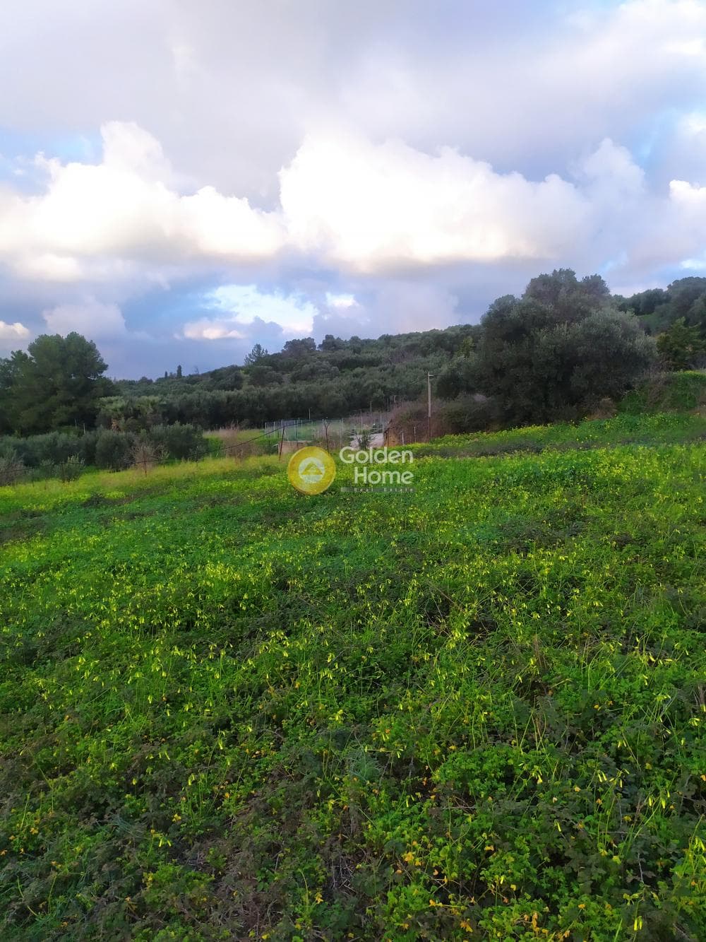 Parcel in Kato Kalesia, Temenos — Photo 5 of 10