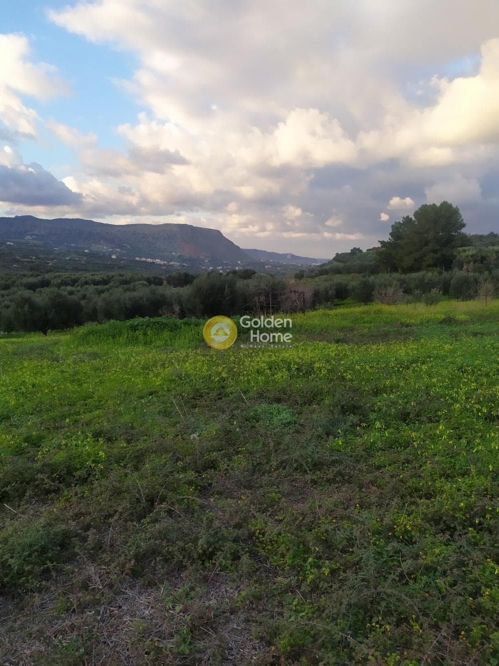 Parcel in Kato Kalesia, Temenos — Photo 4 of 10