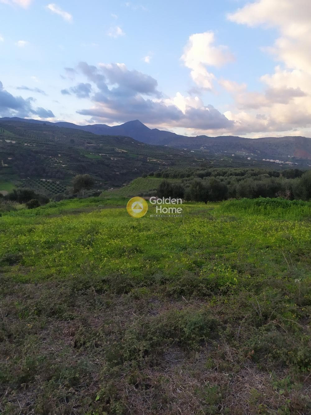 Parcel in Kato Kalesia, Temenos — Photo 8 of 10