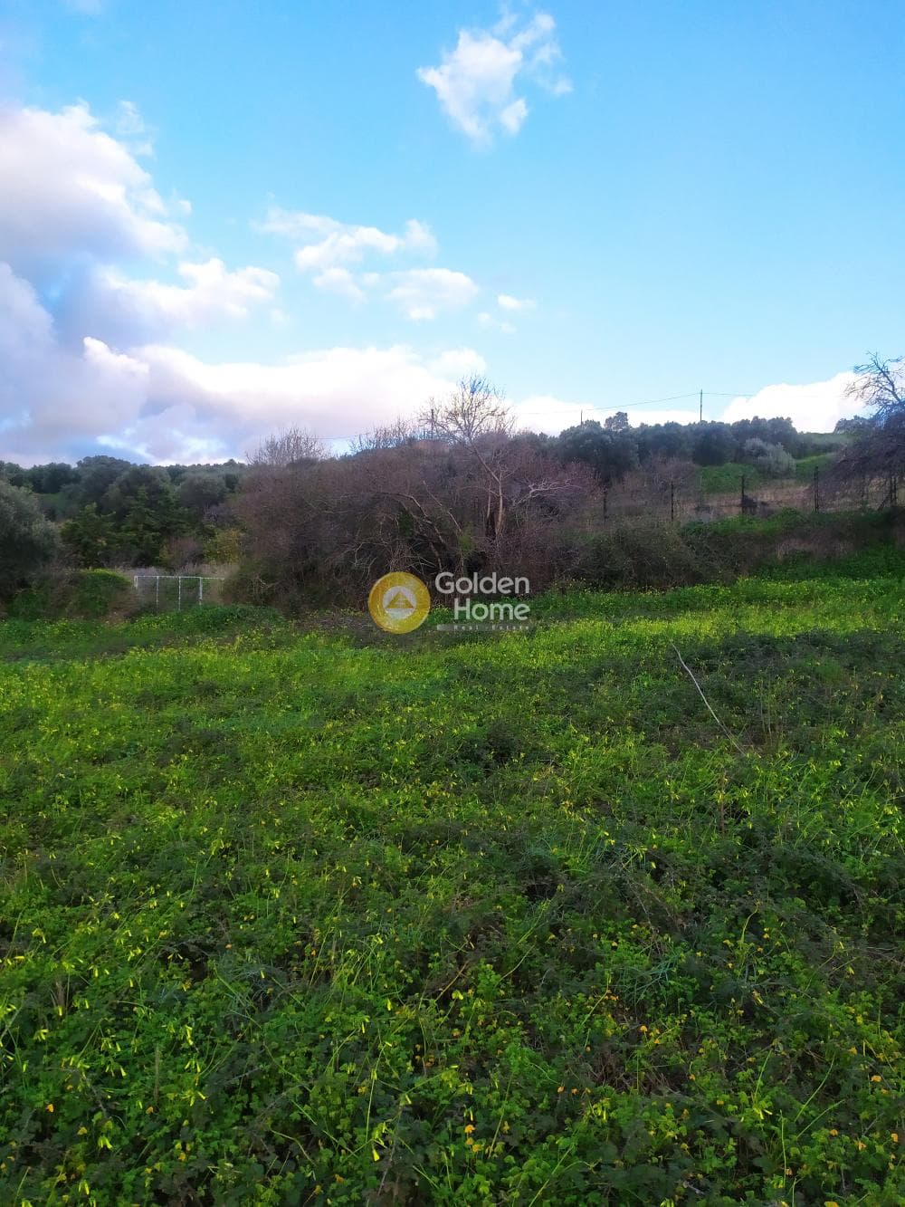 Parcel in Kato Kalesia, Temenos — Photo 6 of 10