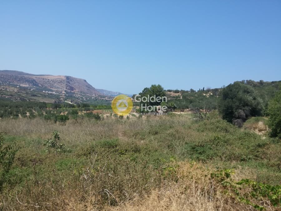 Parcel in Kato Kalesia, Temenos — Photo 7 of 10