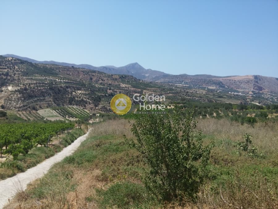 Parcel in Kato Kalesia, Temenos — Photo 9 of 10