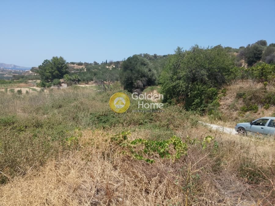 Parcel in Kato Kalesia, Temenos — Photo 10 of 10