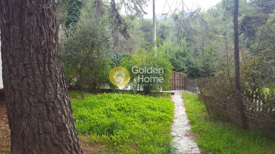 Μονοκατοικία στην Δροσιά, Δροσιά — Φωτογραφία 18 από 18