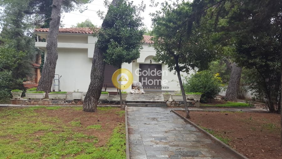 Μονοκατοικία στην Δροσιά, Δροσιά — Φωτογραφία 15 από 18