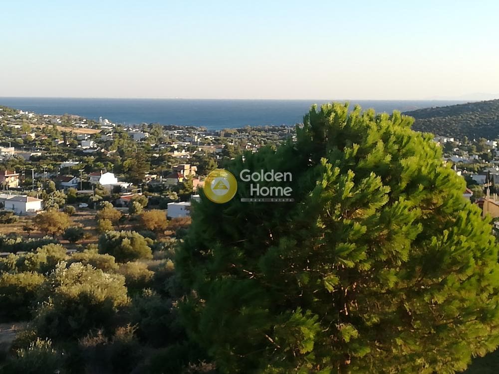 Μονοκατοικία στην Αγία Μαρίνα, Κορωπί — Φωτογραφία 22 από 36