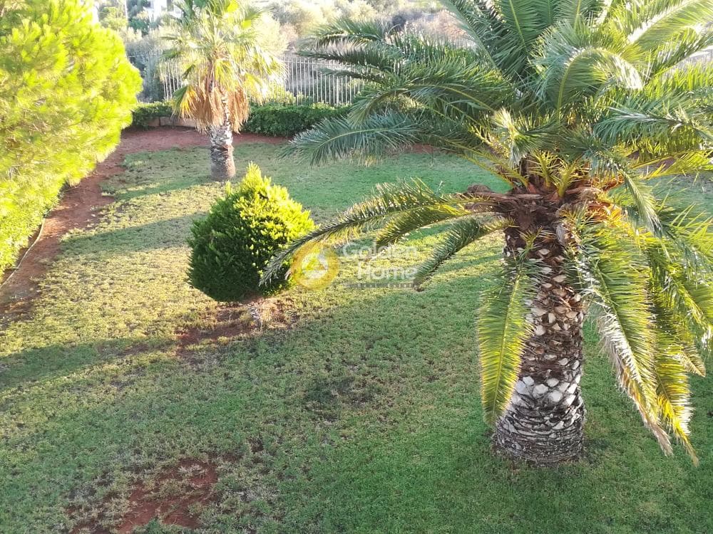 Μονοκατοικία στην Αγία Μαρίνα, Κορωπί — Φωτογραφία 35 από 36