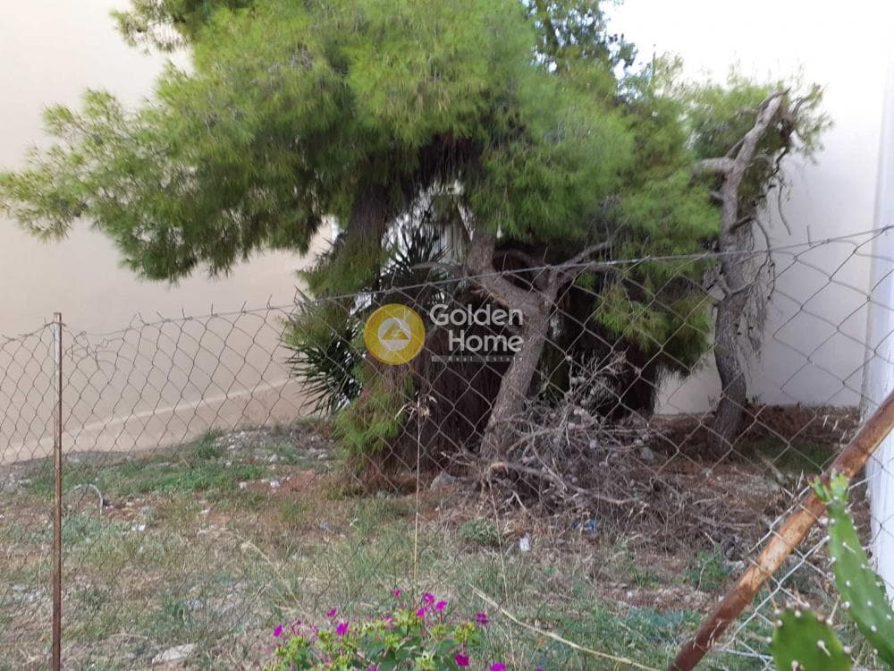 Οικόπεδο στην Πεύκα Βέρδη, Πετρούπολη — Φωτογραφία 3 από 4